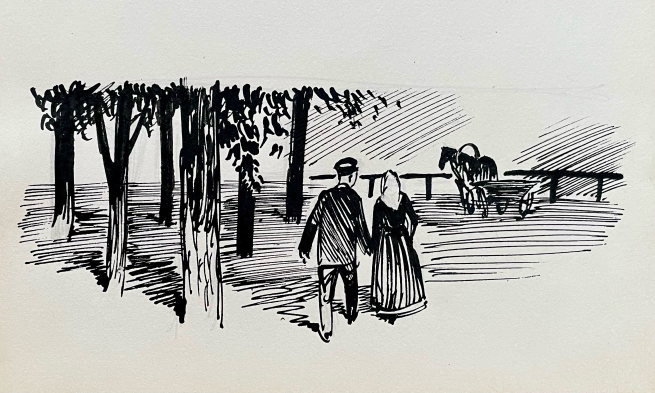 Kavand raamatule “Suvi”, 1954