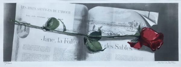 LEITU, Silvia Eesti Kunst Graafika Autoritehnika Natüürmort Väliseesti kunst