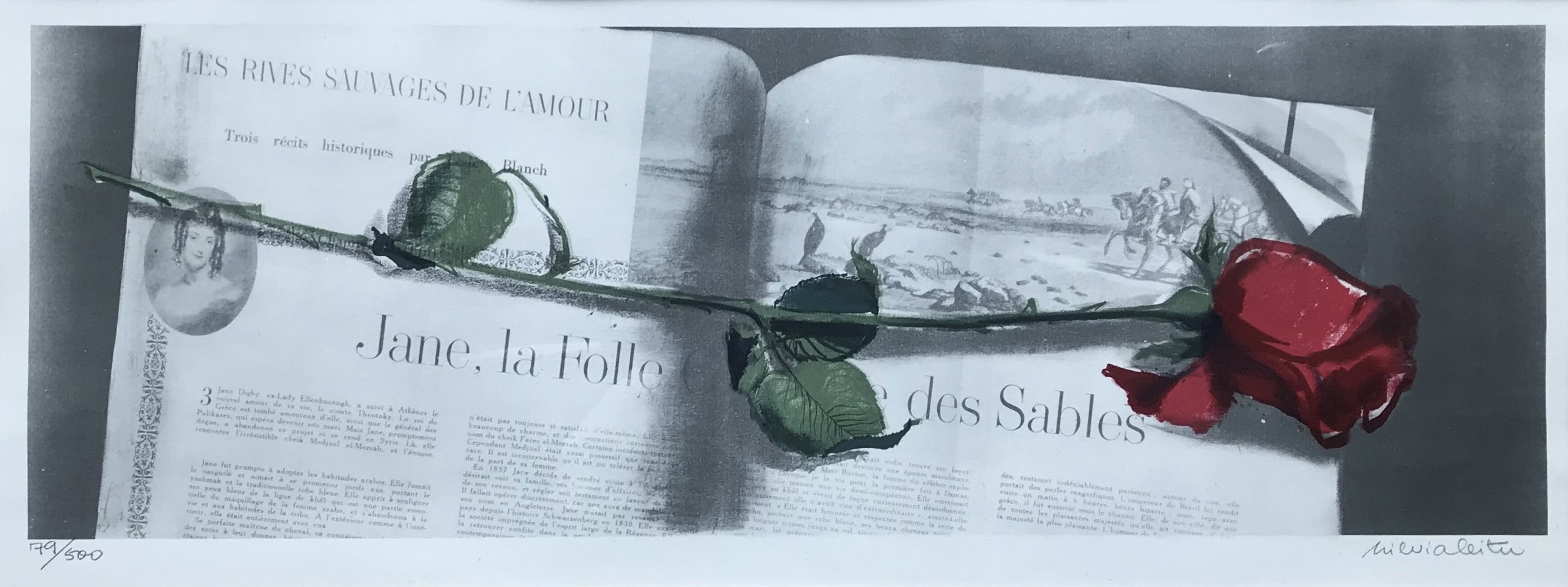 “Punane roos ajakirja taustal”