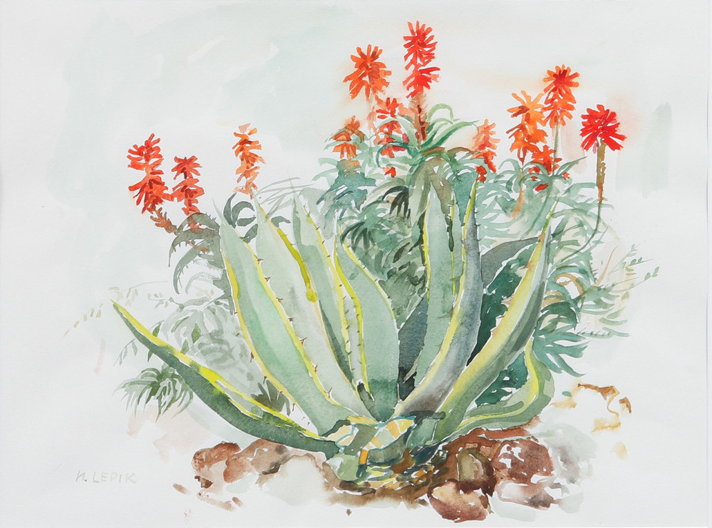 ”Lilled ja aaloe”