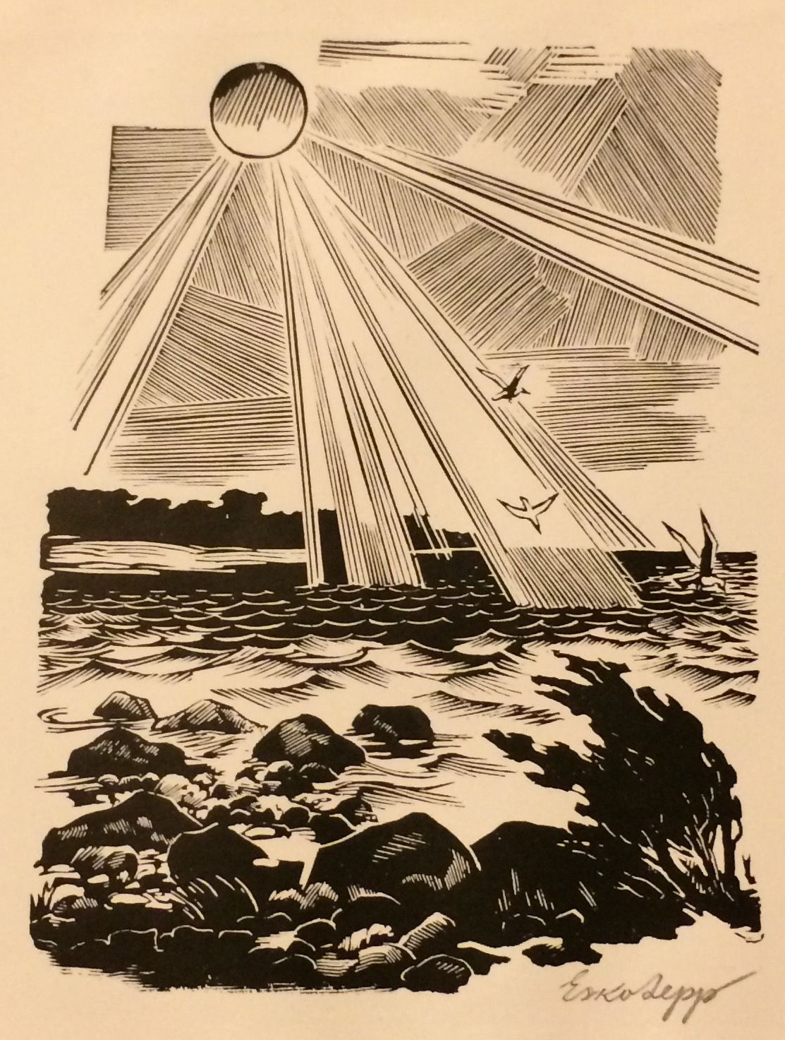 “Meri ja kajakad”