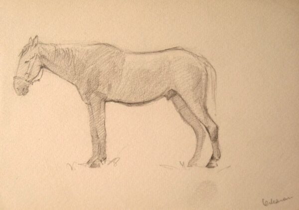 MARAN, Olav Eesti Kunst Joonistus / pastell Pliiats Talumotiiv Eesti klassikud