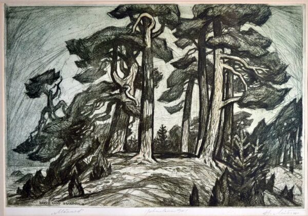 MITT, Hugo Eesti Kunst Graafika Pehmelakk Loodus Eesti klassikud