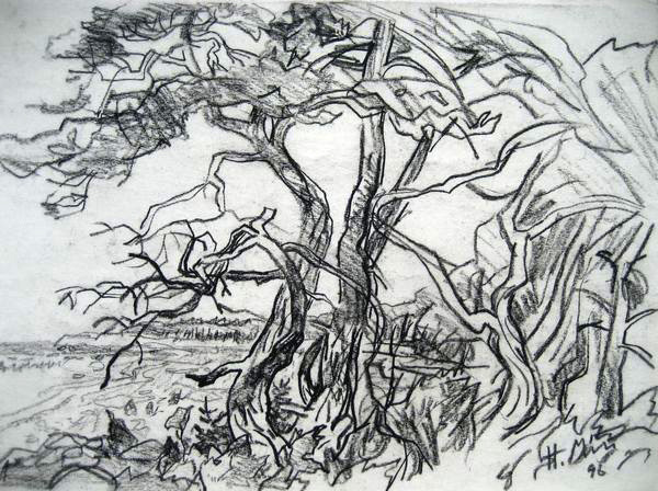 “Rannamännid”, 1996