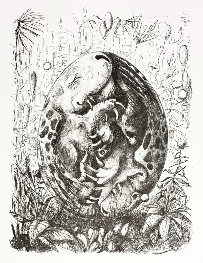 "Võime näha enamat", 2025