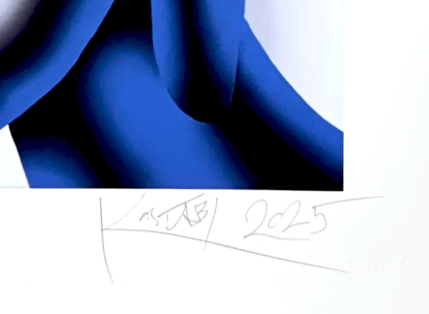 "Sovereign Embrace", 2025 - Image 2