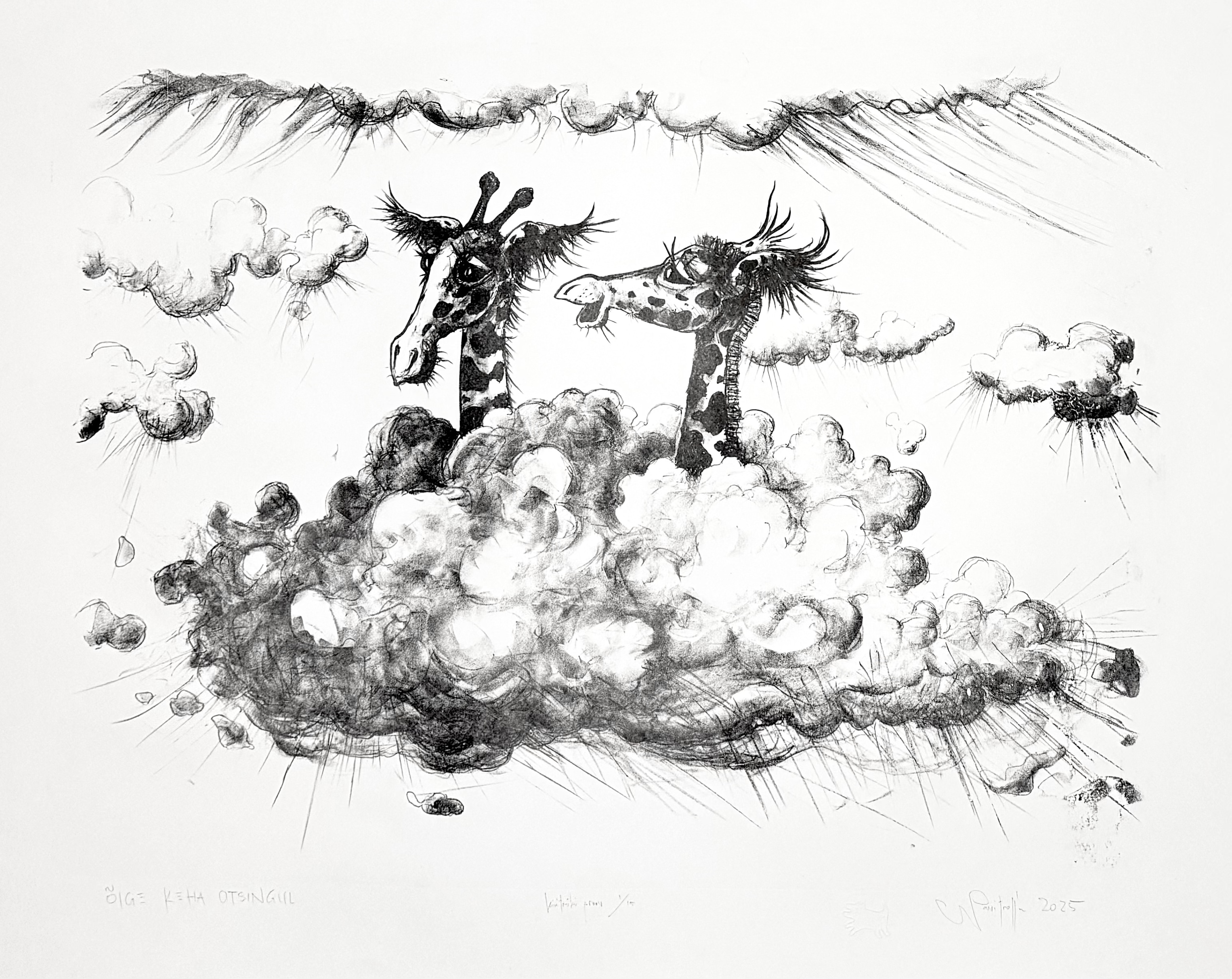 “Õige keha otsinguil”, 2025