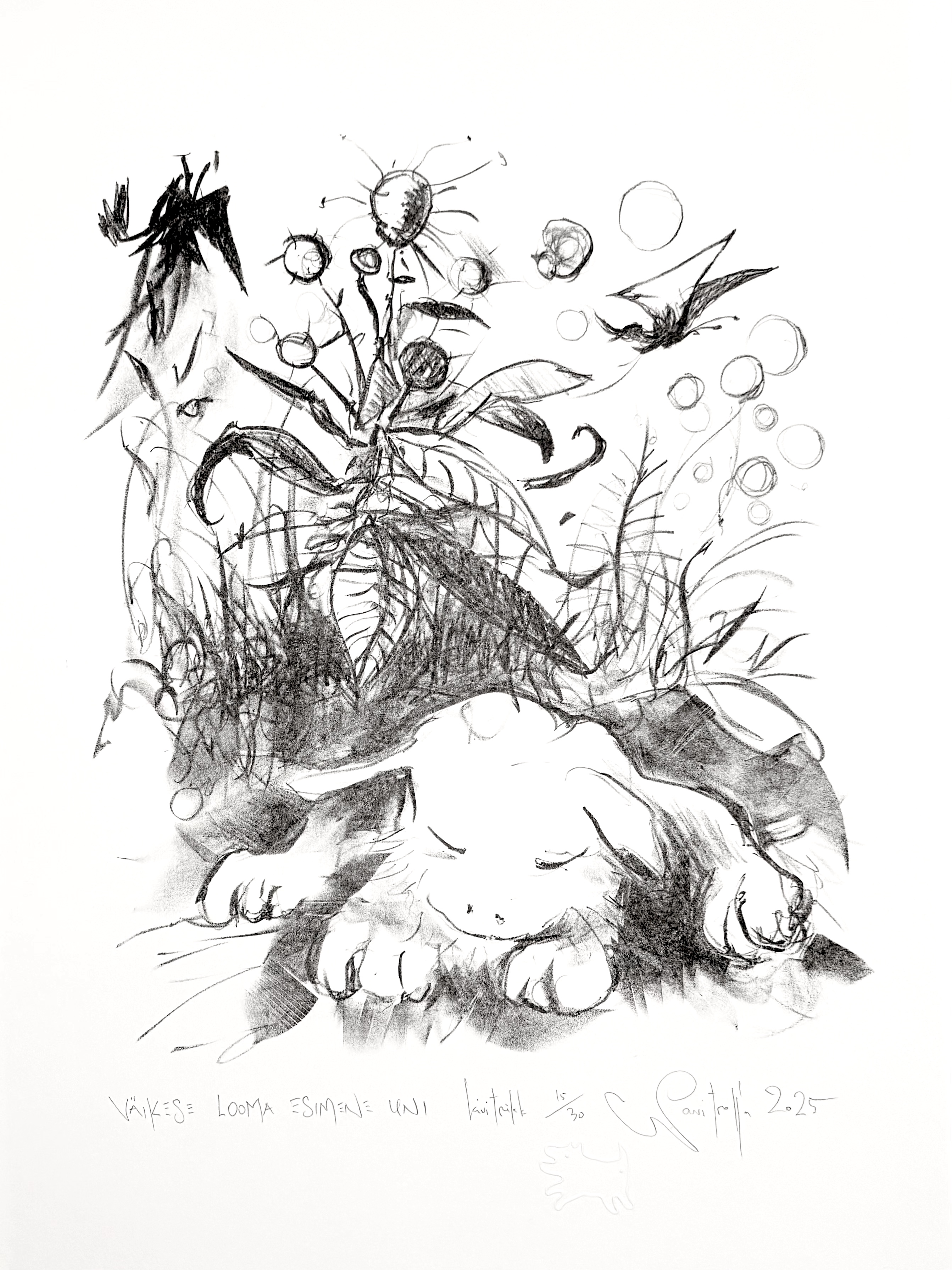 “Väikese looma esimene uni”, 2025